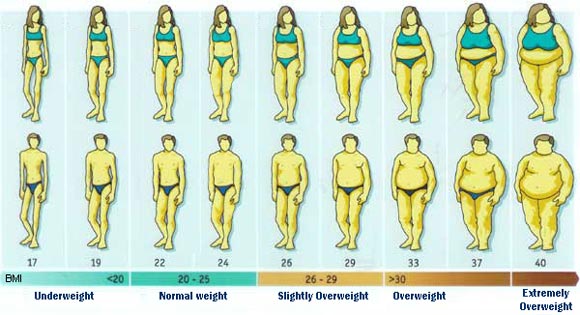 Body Mass Index Indice di Massa Corporeo Calcolo